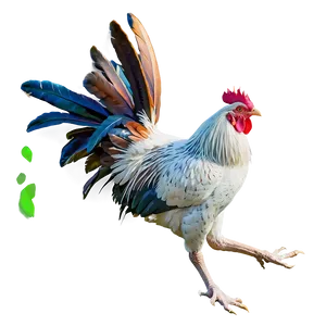 Rooster In Flight PNG 44