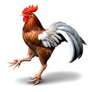 Rooster In Flight PNG Jan