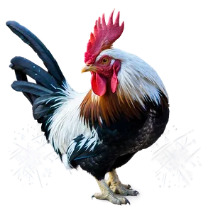 Rooster In Snow Scene PNG 9 PNG
