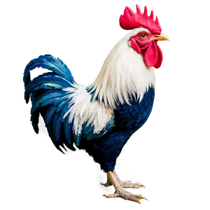Rooster With Crowns PNG Rde25