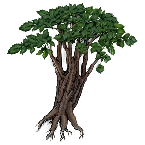 Root A PNG image