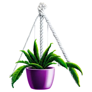 Rope Hanging Plant Png 85 PNG image