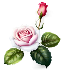 Rose Border Clipart Png Xjq35 PNG image