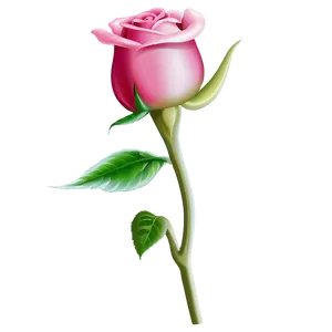 Rose Bud PNG Qpt35
