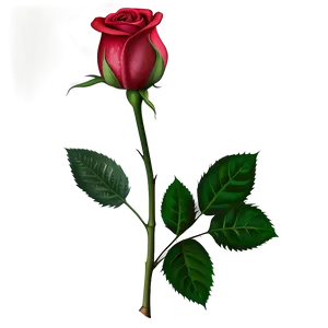 Rose Bud PNG Yjy87