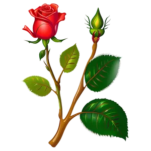 Rose Drawing PNG 04292024