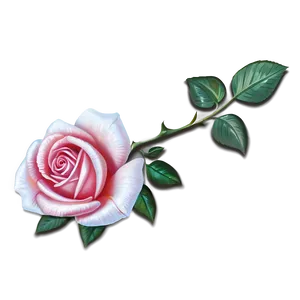 Rose Drawing PNG 96