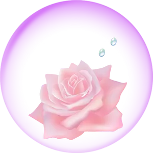Rose Encasedin Bubble