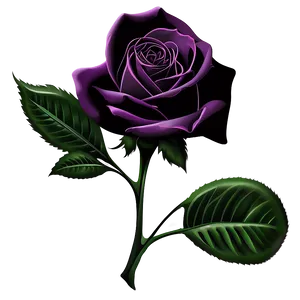 Rose Flower Outline PNG 05252024 PNG