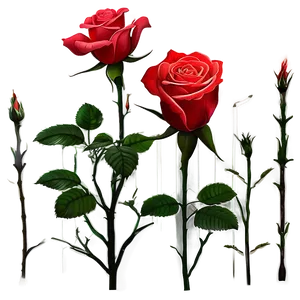 Rose Garden PNG Qia
