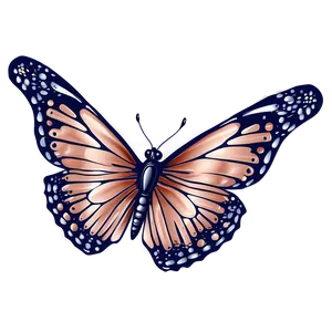 Rose Gold Butterfly Drawing PNG 06282024