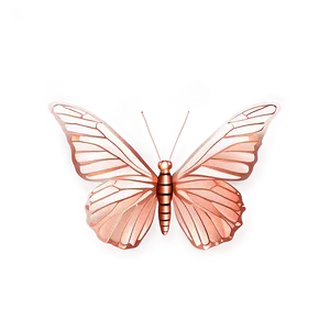 Rose Gold Butterfly Shape PNG Rto PNG