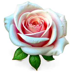 Rose Icon PNG Ute14