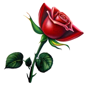 Rose Illustration PNG 6