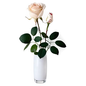Rose In Vase PNG Umq