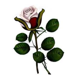 Rose Pattern Clipart PNG Iio59