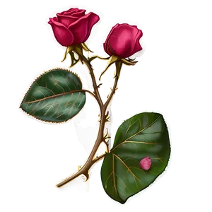 Rose Petal Memorial Png Mhu49 PNG image