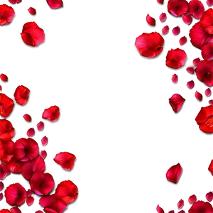 Rose Petals Background Png 05252024 PNG image