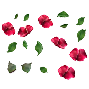 Rose Petals Border Png Boa PNG image