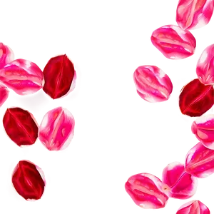 Rose Petals Close Up Png 15 PNG image