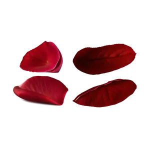 Rose Petals Decoration PNG Cov