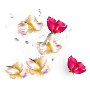 Rose Petals Falling PNG 05252024