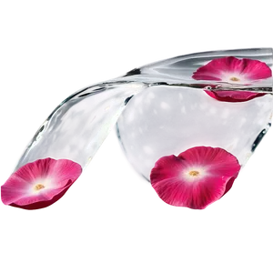 Rose Petals In Water PNG Mwf31 PNG