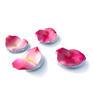 Rose Petals In Water PNG Our PNG
