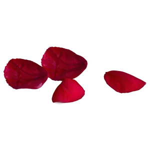 Rose Petals Isolated Png 05252024 PNG image