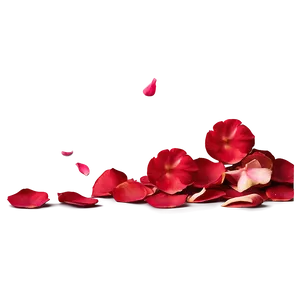 Rose Petals On Floor Png Tdg4 PNG image