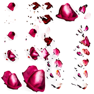 Rose Petals Overlay Png 05252024 PNG image