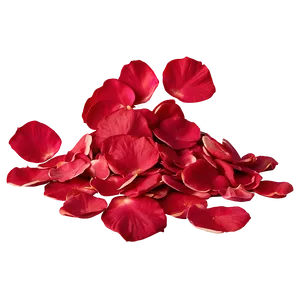 Rose Petals Overlay PNG 86 PNG