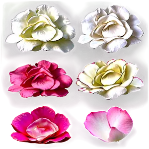 Rose Petals Overlay PNG Wwg79 PNG
