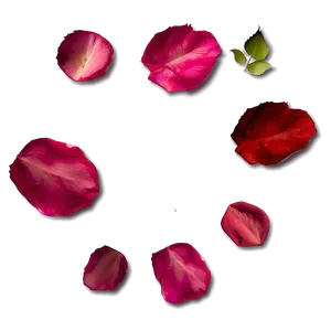 Rose Petals PNG 04292024