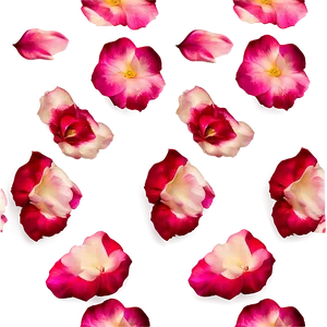 Rose Petals PNG 58