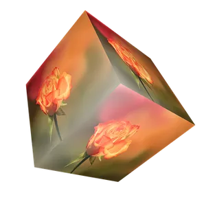 Rose Reflection Cube Art PNG image