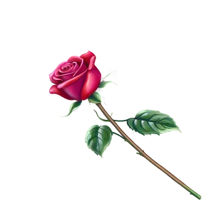 "rose Reverie: Romantic Flower PNG" C