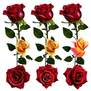 "rose Reverie: Romantic Flower PNG" D