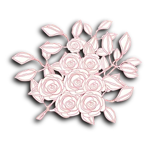 Rose_ Sketch_ Artwork PNG