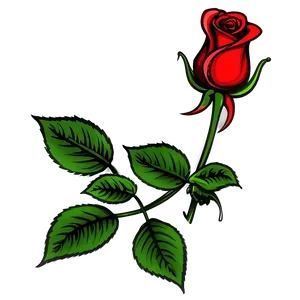 Rose Sketch Clipart PNG 9