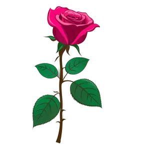 Rose Stem Clipart PNG 06272024 PNG