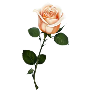 Rose Vector Decal PNG 65