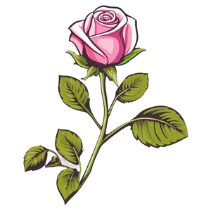 Rose Vector Decal PNG Rni51 PNG