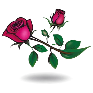 Rose Vector Icon PNG 06262024