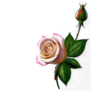 Rose Vector Texture PNG 06262024