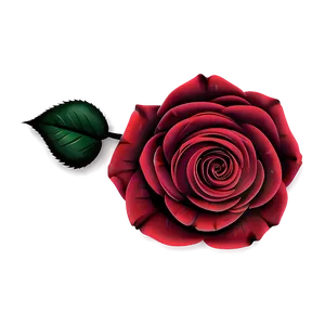 Rose Vector Texture PNG Alc
