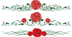 Rose Vine Floral Design PNG image