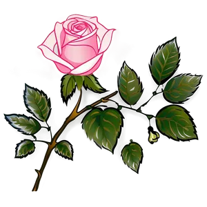Rose Vine PNG 34