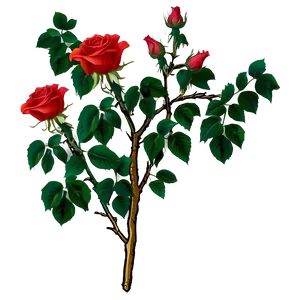 Rose Vine PNG Com