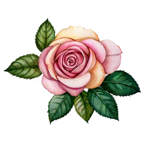 Rose Watercolor PNG Ykw